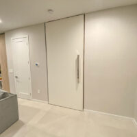 minimalist white pivot door