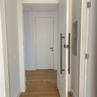 modern home pivot door